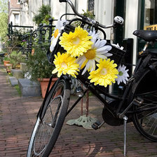 Схема вышивки «№630033»