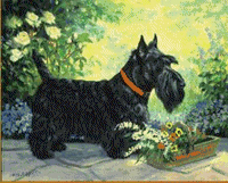 собака - лапочка - предпросмотр