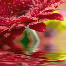 Схема вышивки «цветок»