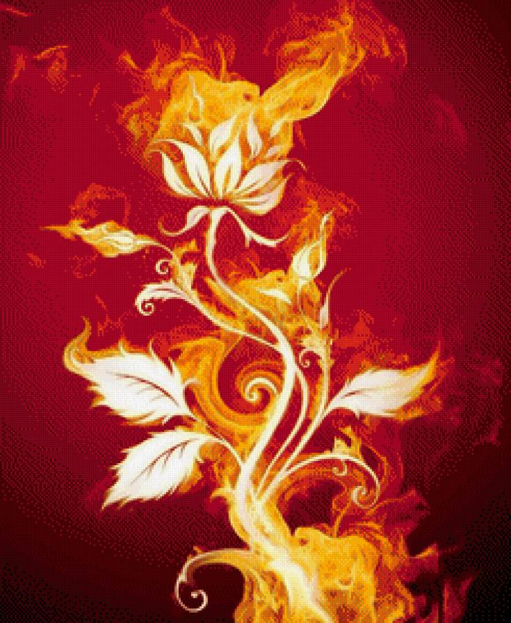 огненной цветок - предпросмотр