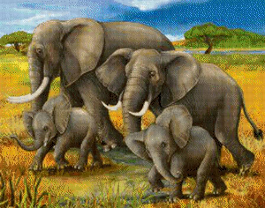 семья слонов - животные - предпросмотр