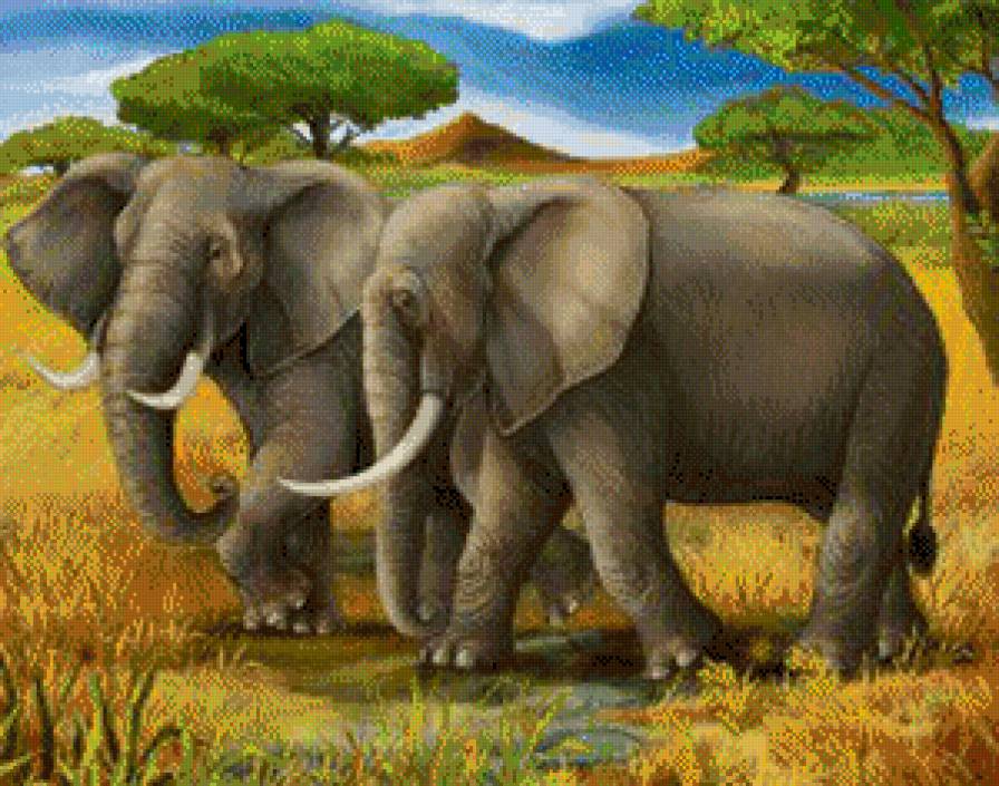 слоны - животные - предпросмотр