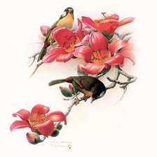 птички на ветке с цветами