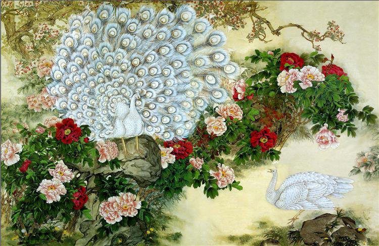 белый павлины - птицы - оригинал