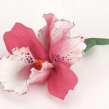 Схема вышивки «розова орхідея»