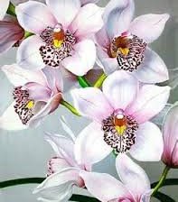 Схема вышивки «букет»