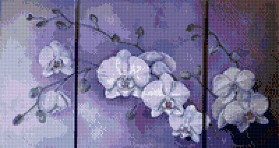 голуба орхідея - предпросмотр