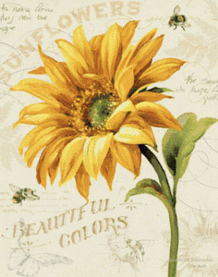 Подсолнух ля диптиха - предпросмотр