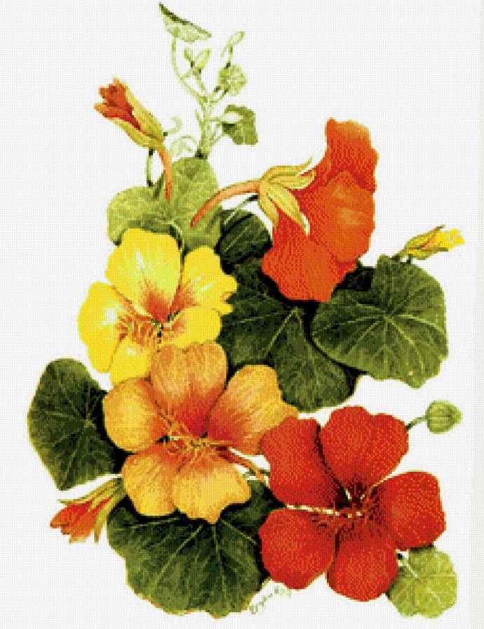 Панно настурция. - предпросмотр