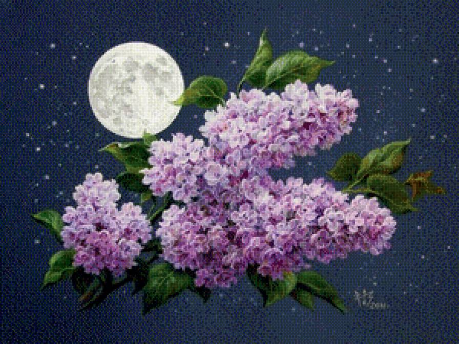 Сирень - луна, ночь, цветы - предпросмотр