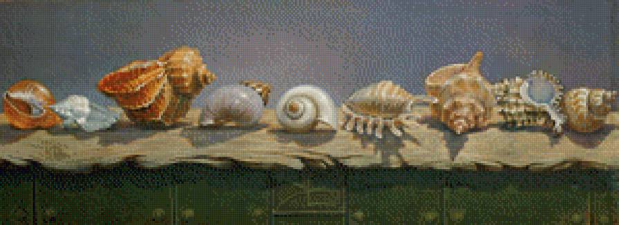 Ракушки - натюрморт, море, ракушки - предпросмотр