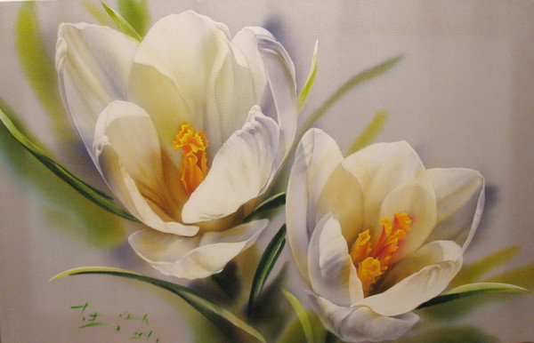 Крокусы - цветы - оригинал