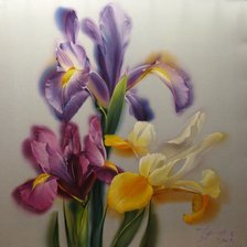 Схема вышивки «Ирисы»