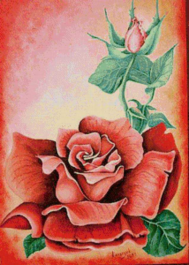 роза - цветы, роза - предпросмотр