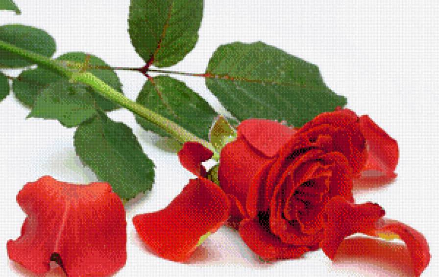 1 - предпросмотр