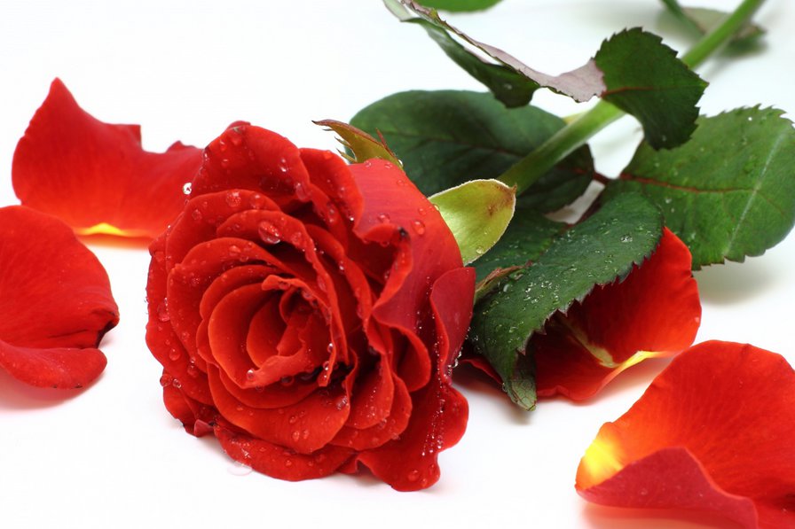 2 - оригинал