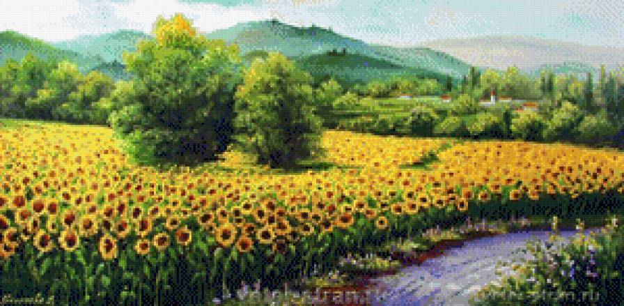 цветущие подсолнухи - пейзаж - предпросмотр