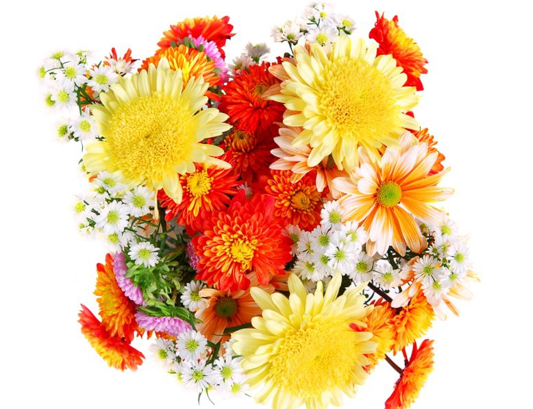 цветы - букет, цветы - оригинал