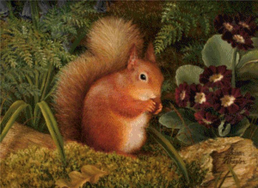 Белка с орехами - сказка - предпросмотр