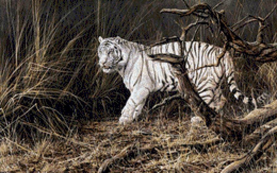 bialy tygrys - ziwotnyje, tygrys, proroda - предпросмотр