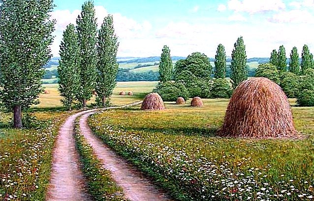 Пора сенокоса - поле, дорога, цветы, трава, пейзаж, сенокос - оригинал