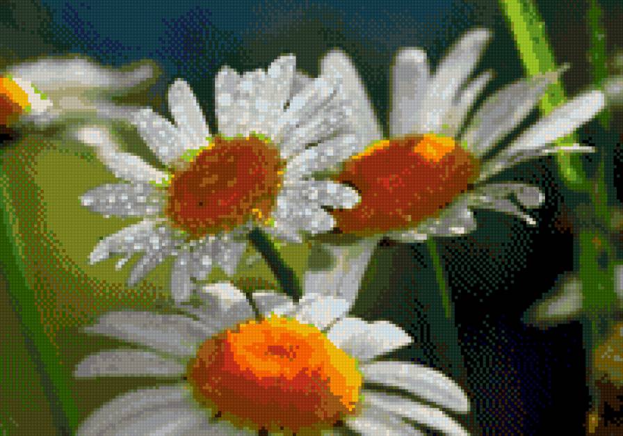 №630919 - предпросмотр