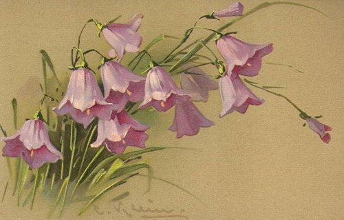 Букет - цветы - оригинал