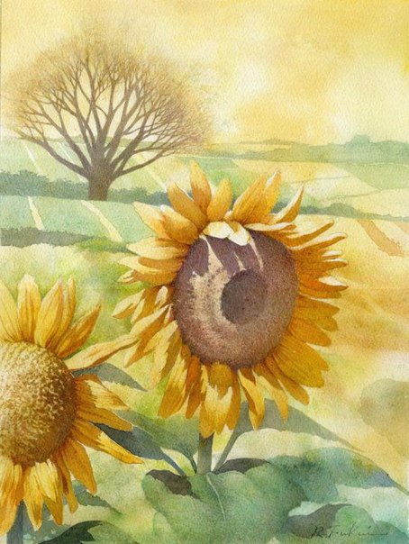 подсолнухи - подсолнухи, цветы - оригинал