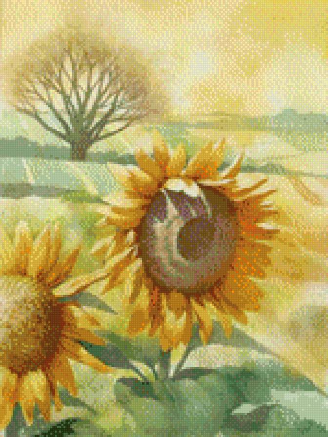 подсолнухи - цветы, подсолнухи - предпросмотр