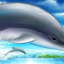 милые дельфинчики