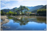 Схема вышивки «№631038»