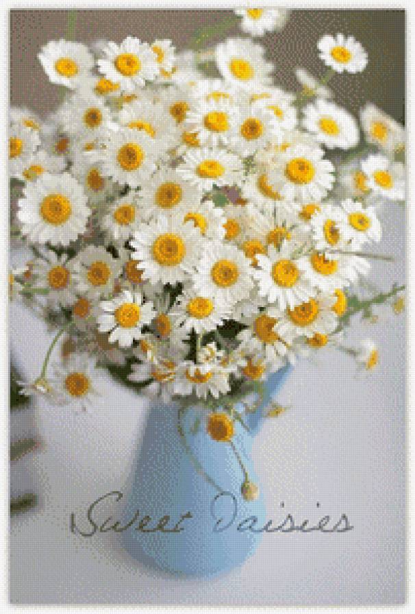 Ромашки - ромашки, ваза, цветы - предпросмотр