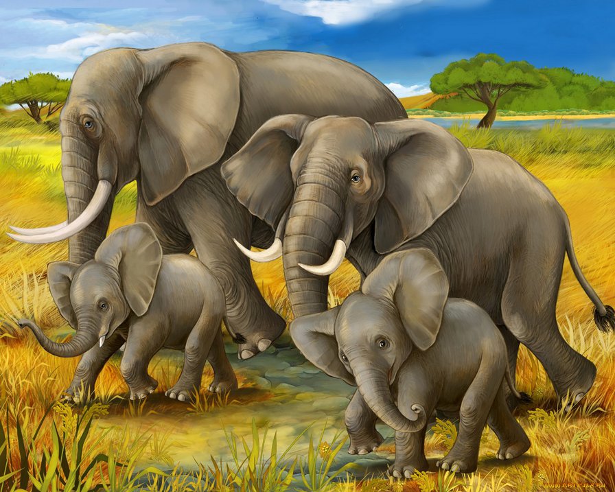 серия Африка - слоны, животные - оригинал