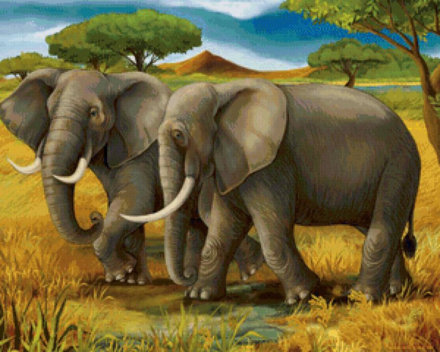 серия Африка - животные, слоны - предпросмотр