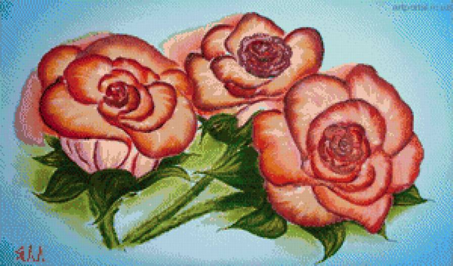 розы - розы, цветы - предпросмотр