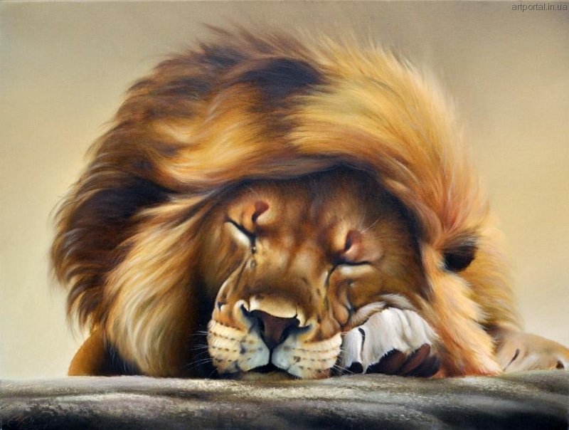 спящий царь - лев, животные - оригинал