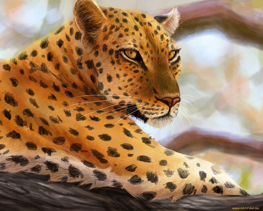 красотка - животные, кошки - оригинал