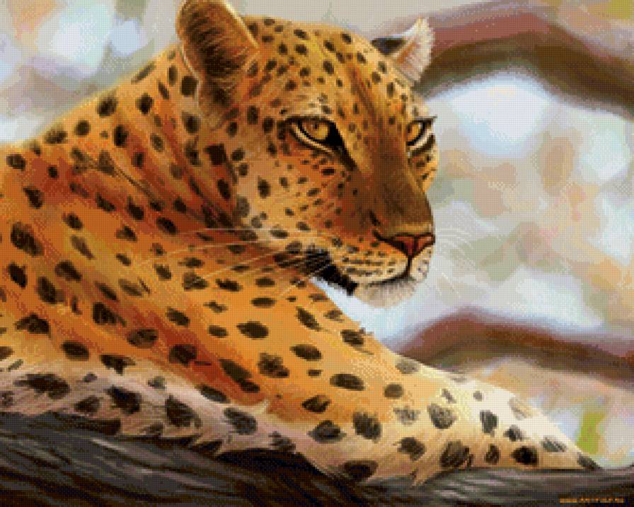 красотка - животные, кошки - предпросмотр