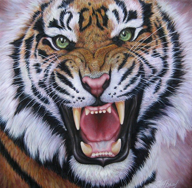 Тигр - хищник, звери, животные, тигр - оригинал