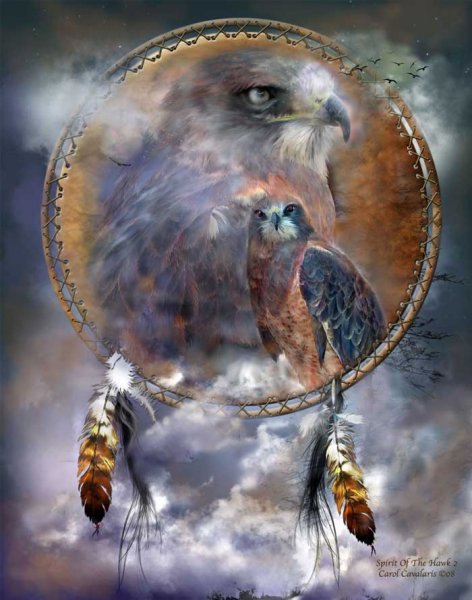 Дух сокола (Carol Cavalaris) - сокол, тотем, каваларис - оригинал