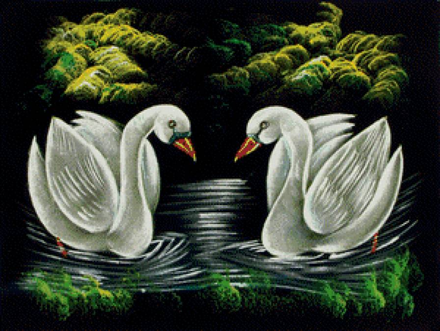 Лебеди - ночь, река, птицы - предпросмотр