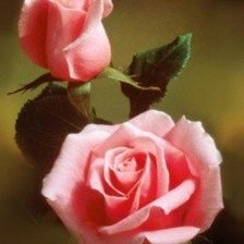 Схема вышивки «№631711»