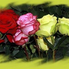 Схема вышивки «№631717»