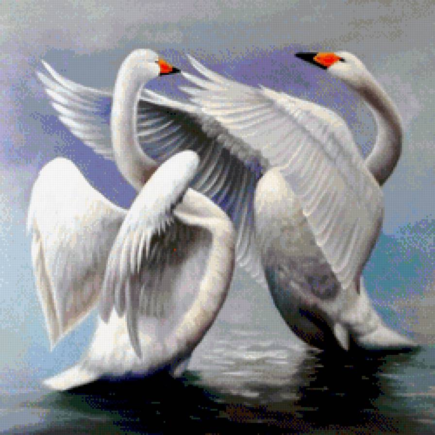 №631776 - лебеди - предпросмотр