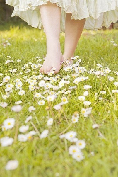 Девушка - девушка, поле, весна, ромашки, цветы, пейзаж - оригинал