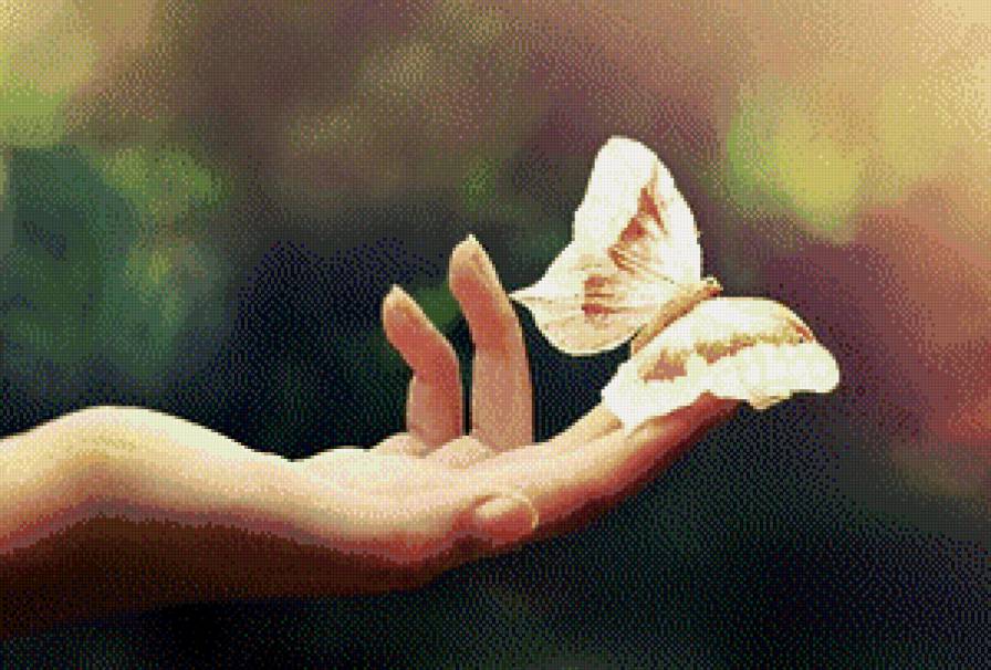 Нежность - природа, бабочка, рука, нежность, весна - предпросмотр