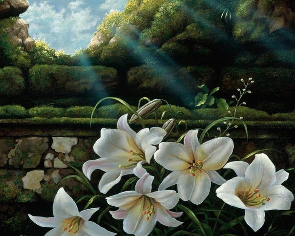 Лилии - пейзаж, цветы, весна, природа, картина, лилии - оригинал