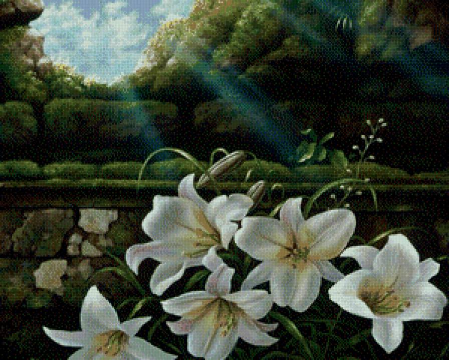 Лилии - природа, пейзаж, цветы, весна, лилии, картина - предпросмотр