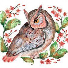 Схема вышивки «Сова»