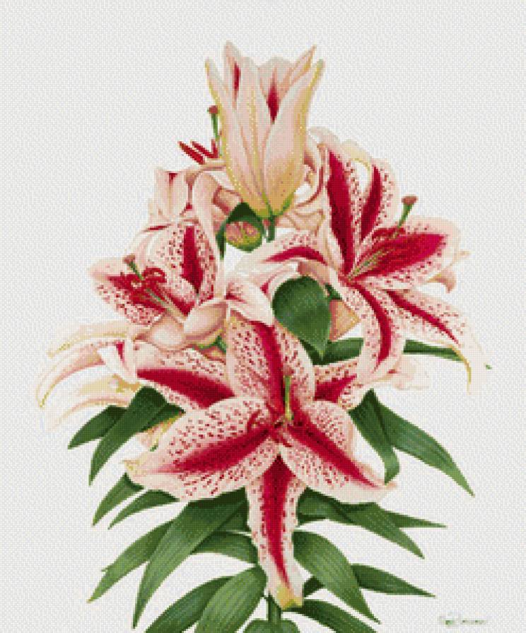 Из цикла акварельные миниатюры. - предпросмотр